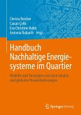 Handbuch Nachhaltige Energiesysteme im Quartier (eBook, PDF)