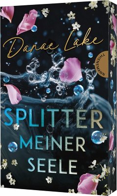 Cover Splitter meiner Seele