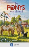 Die Ponys von Lillasund 4. Das Mittsommer-Turnier (eBook, ePUB)