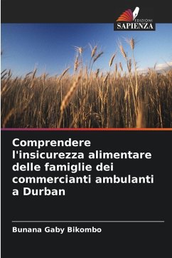 Cover Comprendere l'insicurezza alimentare delle famiglie dei commercianti ambulanti a Durban