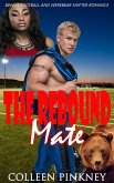 The Rebound Mate (eBook, ePUB)