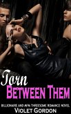 Torn Between Them (eBook, ePUB) Torn Between Them (eBook, ePUB)