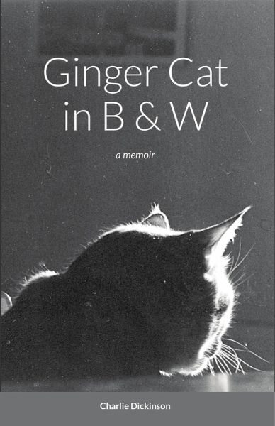 Ginger Cat in B & W: A Memoir (eBook, ePUB) Ginger Cat in B & W: A Memoir (eBook, ePUB)