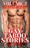 Gay Taboo Stories - Volume 2 (eBook, ePUB) Gay Taboo Stories - Volume 2 (eBook, ePUB)