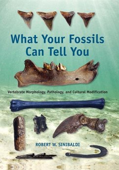 What Your Fossils Can Tell You (eBook, ePUB) - Sinibaldi, Robert W.