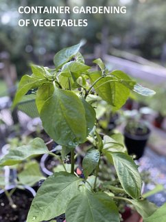 Container Gardening of Vegetables (eBook, ePUB) - Agrihortico