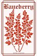 Baneberry (Journey Through the Dark,... - Bild 1