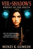 Knight Of The South (Veil In shadows, #1) (eBook, ePUB)
