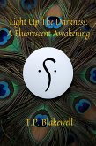 Light Up The Darkness: A Fluorescent Awakening (Book One in a Three Part Series, #1) (eBook, ePUB) Light Up The Darkness: A Fluorescent Awakening (Book One in a Three Part Series, #1) (eBook, ePUB)