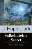 Salkehatchie Secret (eBook, ePUB)