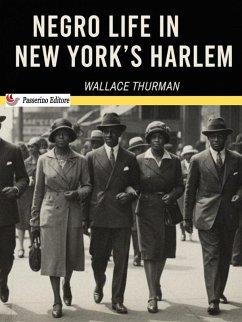 Negro Life in New York's Harlem (eBook, ePUB) - Thurman, Wallace