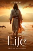 Life Will Go On Just As It Does (eBook, ePUB) Life Will Go On Just As It Does (eBook, ePUB)
