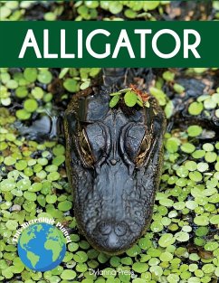 Cover Alligator