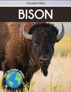 Cover Bison