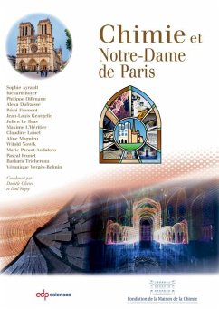 Cover Chimie et Notre-Dame de Paris (eBook, PDF)