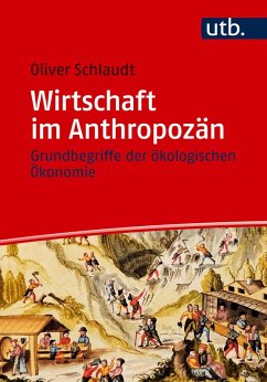 Wirtschaft im Anthropozän (eBook, PDF) - Schlaudt, Oliver