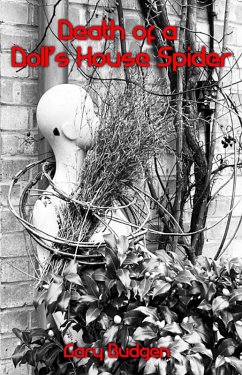 Cover Death of a Doll's House Spider (eBook, ePUB)