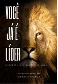 Você Já É Líder (eBook, ePUB)