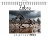 Zebra - Bild 1