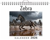 Zebra Zebra