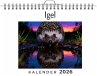 Igel - Bild 1