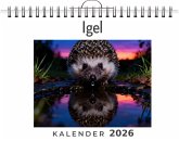 Igel Igel