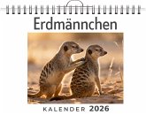 Erdmännchen Erdmännchen
