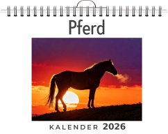 Pferd - Friedrich, Marie