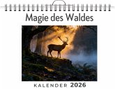 Magie des Waldes
