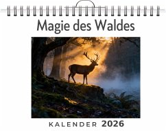 Magie des Waldes - Koch, Aaron Magie des Waldes - Koch, Aaron