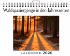Waldspaziergänge in den Jahreszeiten