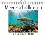 Meeresschildkröten