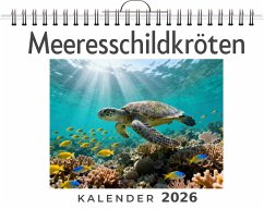 Meeresschildkröten - Koch, Alice