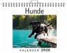 Hunde - Bild 1
