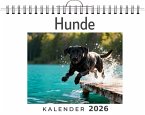 Hunde Hunde