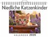 Niedliche Katzenkinder - Bild 1