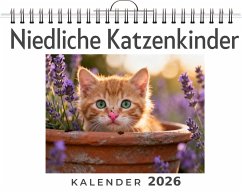 Niedliche Katzenkinder - Krause, Liam