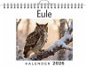 Eule - Bild 1