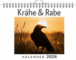 Cover Krähe & Rabe