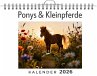 Ponys & Kleinpferde - Bild 1