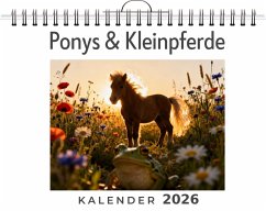 Ponys & Kleinpferde - Schwarz, Alexander