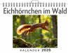 Eichhörnchen im Wald - Bild 1