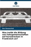 Was treibt die Bildung von Fahrgemeinschaften auf Kurzstrecken in Frankreich an? Was treibt die Bildung von Fahrgemeinschaften auf Kurzstrecken in Frankreich an?