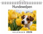 Hundewelpen Hundewelpen