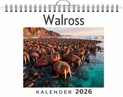 Walross - Fischer, Aaron