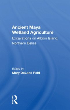 Cover Ancient Maya Wetland Agriculture