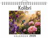 Kolibri - Bild 1