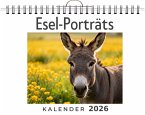 Esel-Porträts