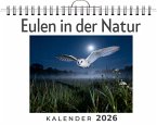 Eulen in der Natur