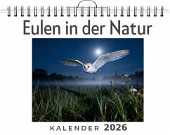 Cover Eulen in der Natur